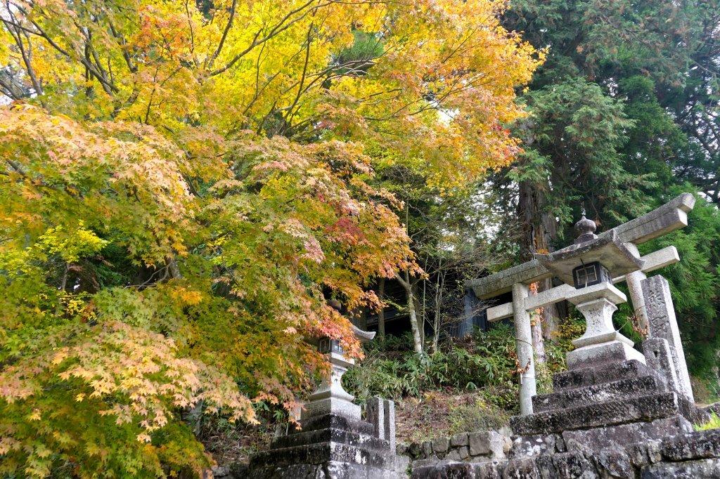Herfst op de Kumano Kodo