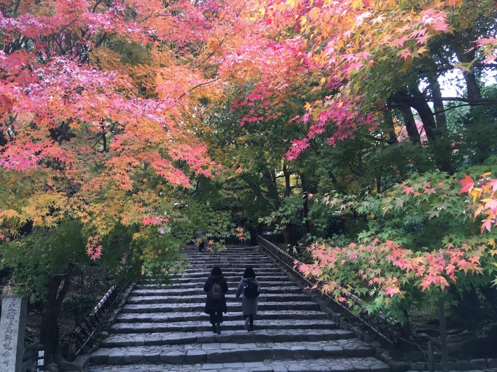 Entree Ryoan-ji