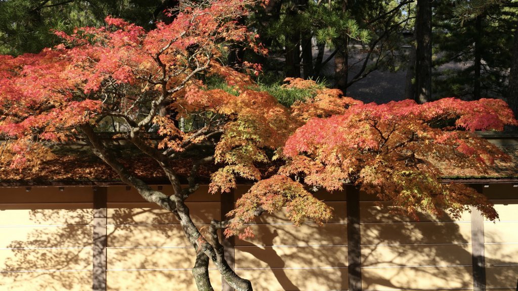 Herfst in het boeddhistisch heiligdom Koyasan