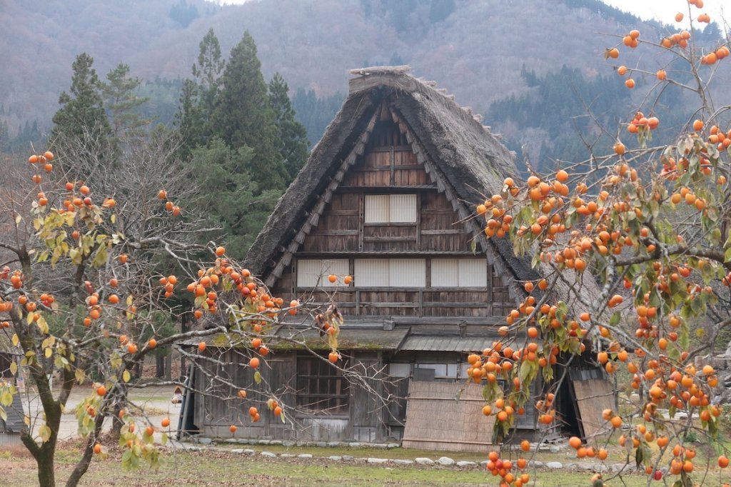 Huis in Shirakawago